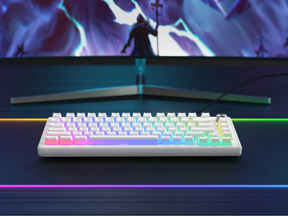 Womier Pudding WOB KeyCap Set