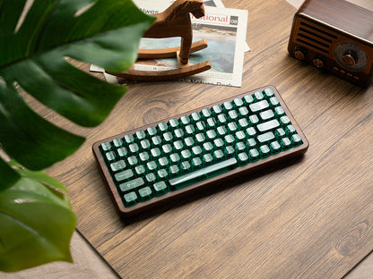 WD 75